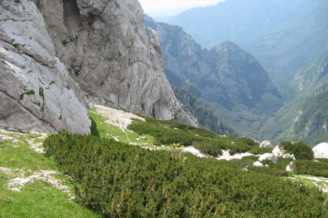 SKOK, Šraj pesek, Presedljaj  24.07.13 - foto