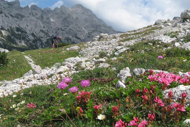 SKOK, Šraj pesek, Presedljaj  24.07.13 - foto