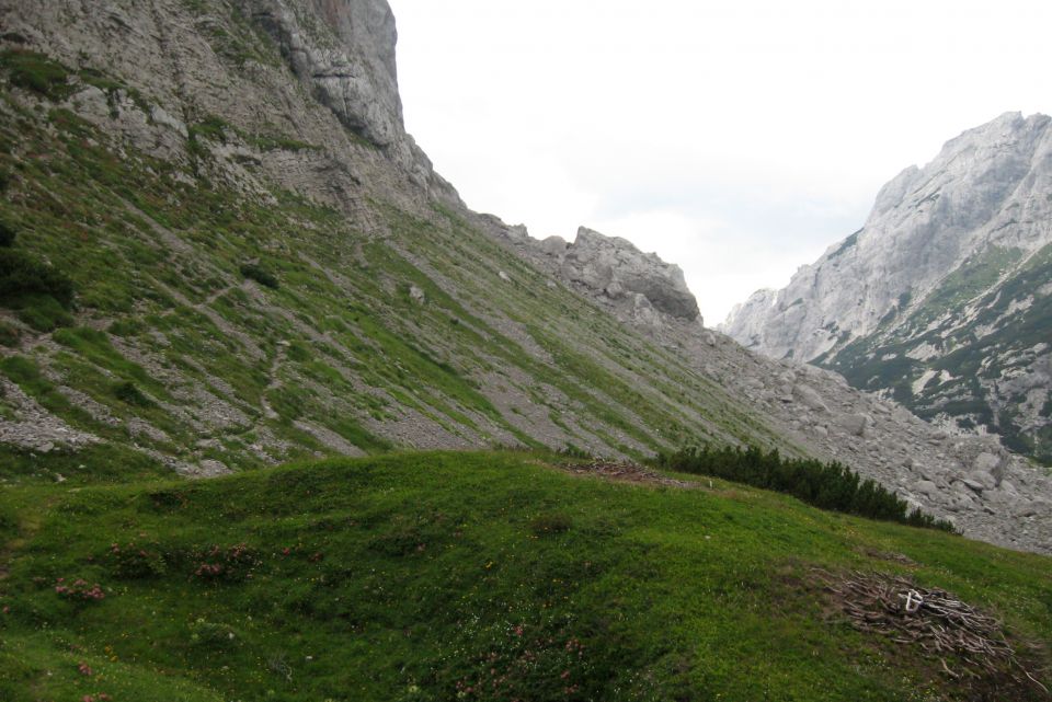 SKOK, Šraj pesek, Presedljaj  24.07.13 - foto povečava