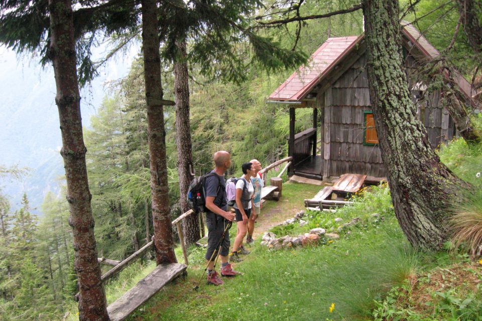 SKOK, Šraj pesek, Presedljaj  24.07.13 - foto povečava