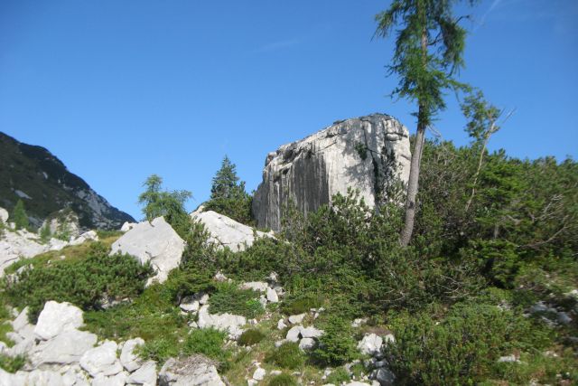 Monte Zermula  22.08.13 - foto