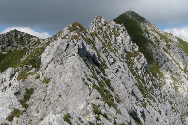 Monte Zermula  22.08.13 - foto