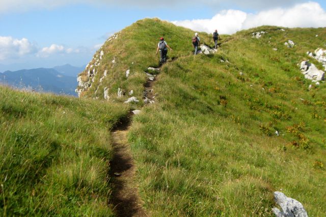 Monte Zermula  22.08.13 - foto