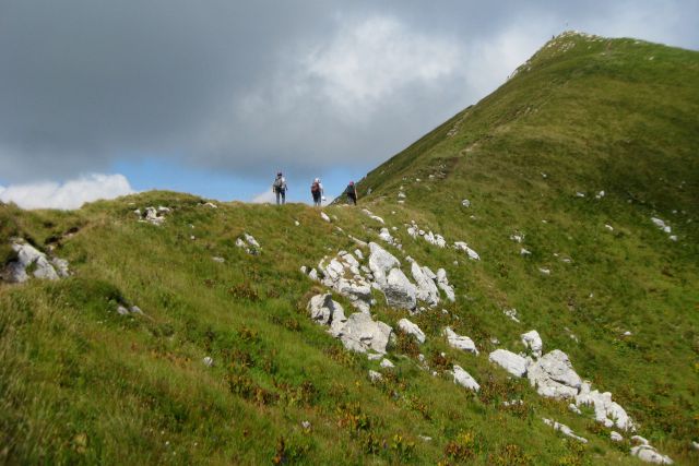 Monte Zermula  22.08.13 - foto