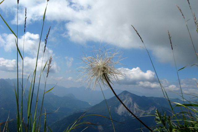 Monte Zermula  22.08.13 - foto