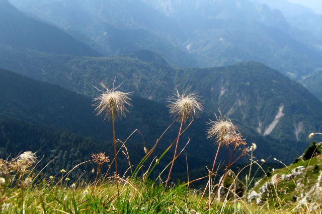 Monte Zermula  22.08.13 - foto