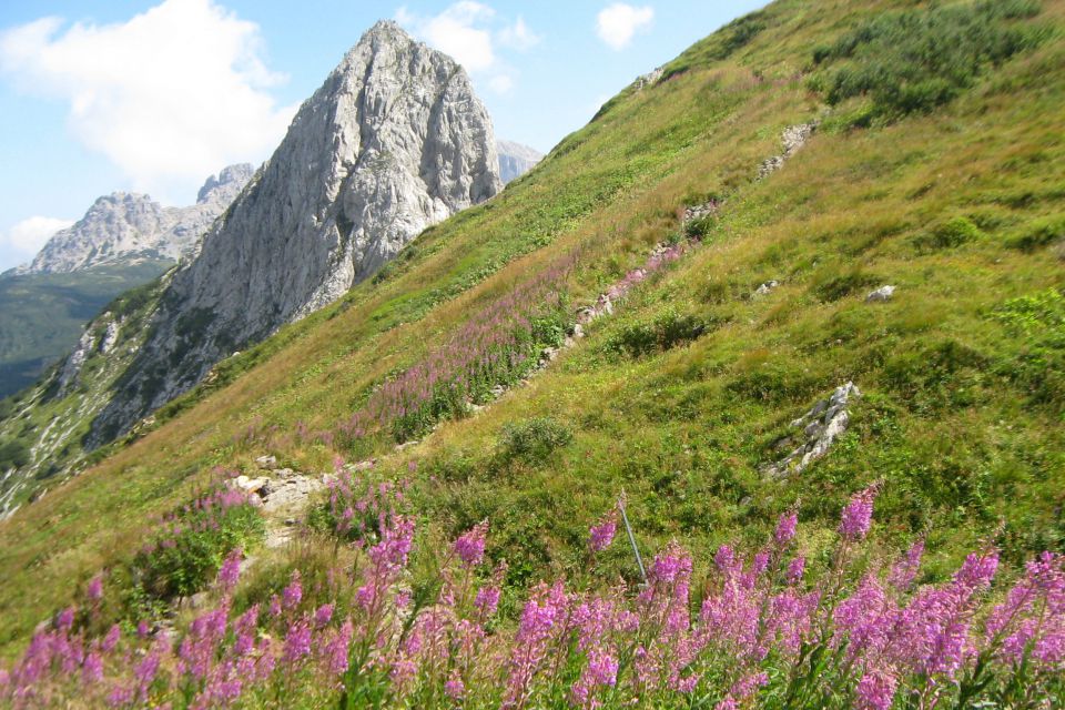 Monte Zermula  22.08.13 - foto povečava