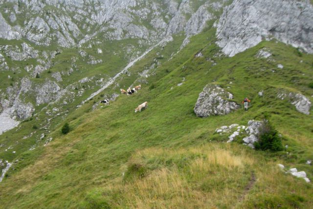 Alpinistke jo mahnejo po svoje ...