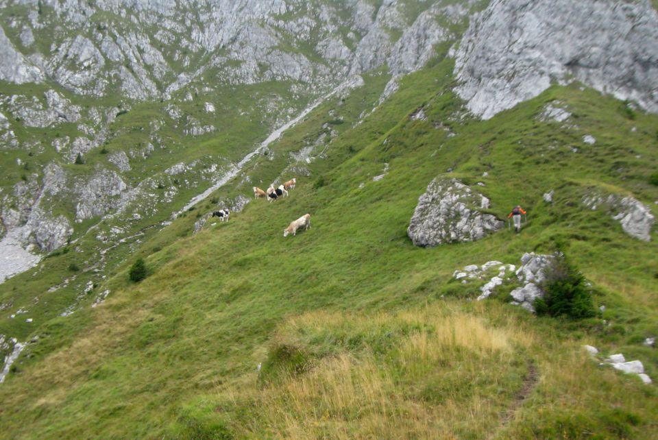 alpinistke jo mahnejo po svoje ...