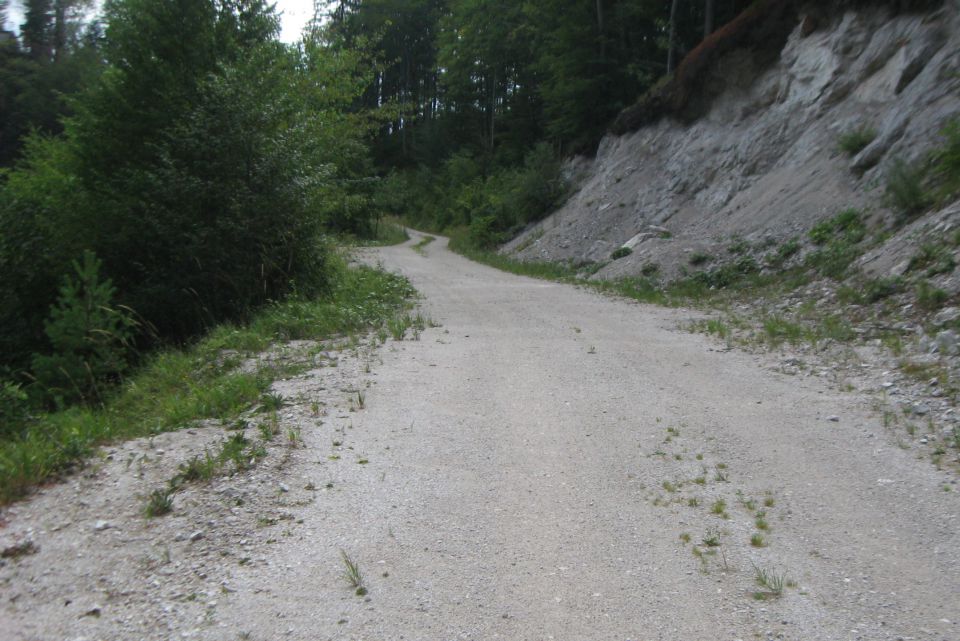 STORŽIČ -  J greben  29.08.13 - foto povečava