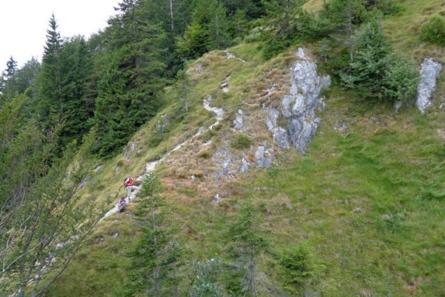 Označena steza za kališče in storžič