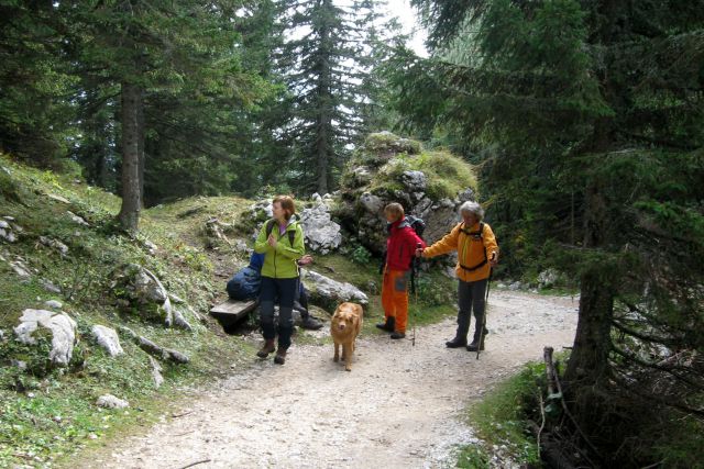 Mrežce + ostali, 04.10.2013 - foto