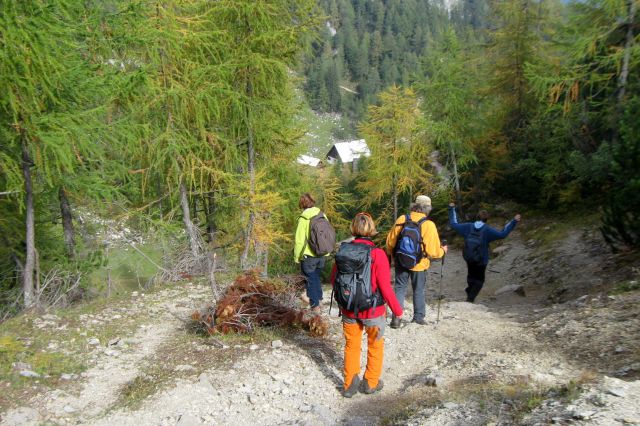 Mrežce + ostali, 04.10.2013 - foto