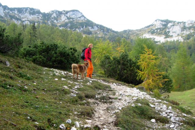 Mrežce + ostali, 04.10.2013 - foto