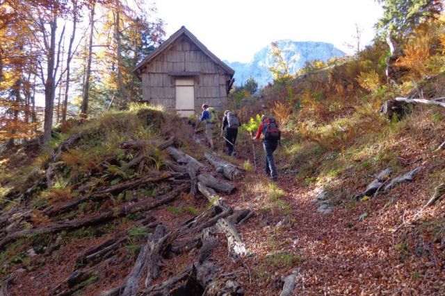 Žag. peč - Kal. gora  17.10.2013 - foto