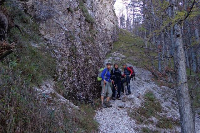 Žag. peč - Kal. gora  17.10.2013 - foto