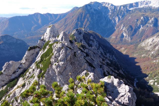 ZELENIŠKE - repov kot - 18.10.2013 - foto