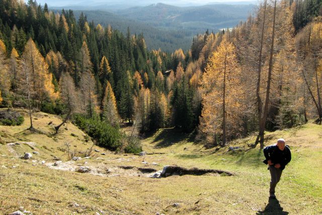 LIPANSKI vrh + Mrežce, 01.11.2013 - foto