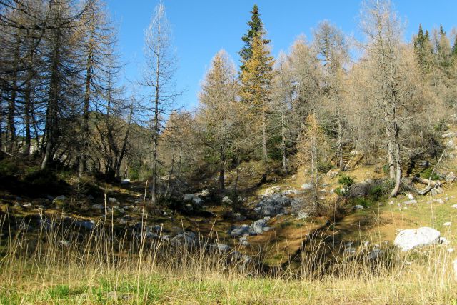 LIPANSKI vrh + Mrežce, 01.11.2013 - foto