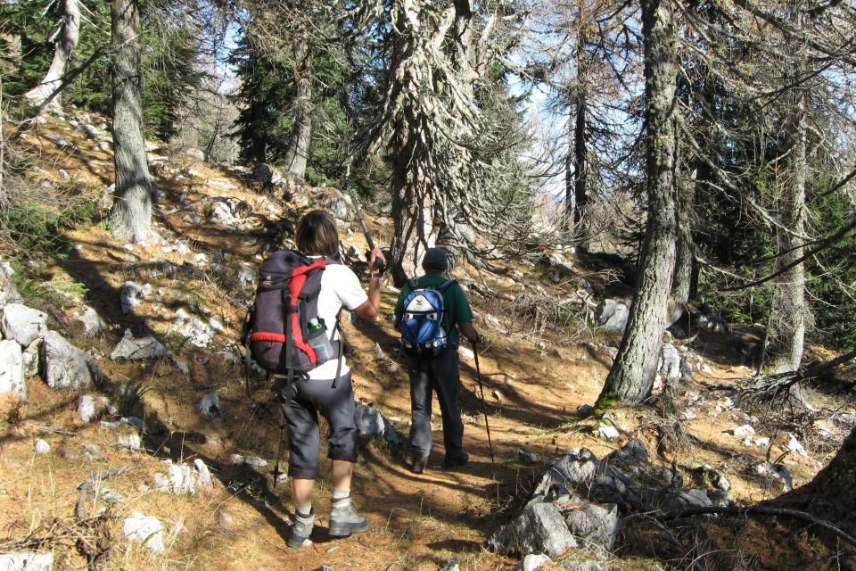 LIPANSKI vrh + Mrežce, 01.11.2013 - foto povečava