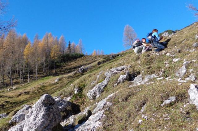 LIPANSKI vrh + Mrežce, 01.11.2013 - foto