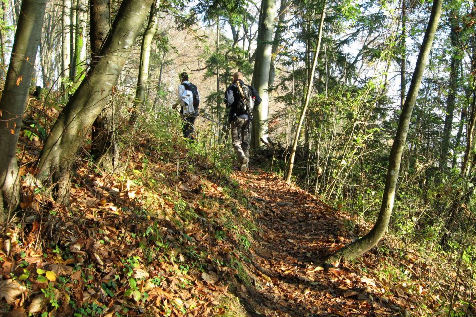 LUBNIK na hitro, 07.11.2013 - foto povečava