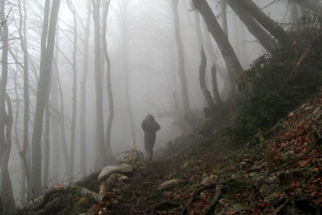 Kališče + mali Grintavec  17.11.2013 - foto