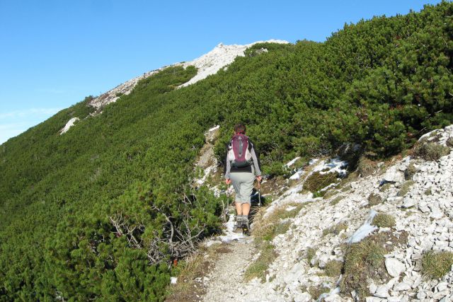 Kališče + mali Grintavec  17.11.2013 - foto