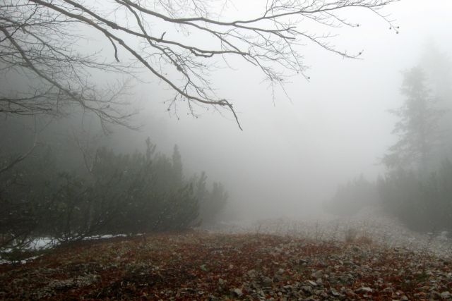 Kališče + mali Grintavec  17.11.2013 - foto