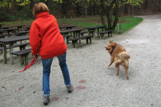 ... in dirka za frizbijem ... teci, teci!!