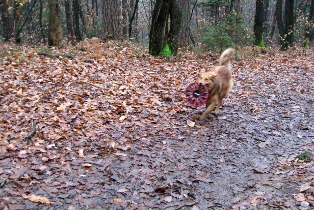 Dej mi vrž !