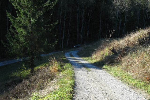 Tošč iz Ločnice  25.11.2013 - foto