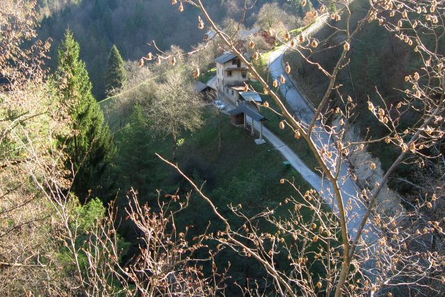 Tošč iz Ločnice  25.11.2013 - foto