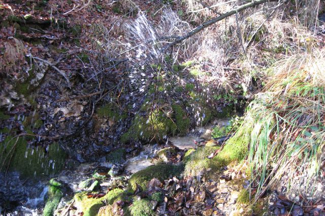 Tošč iz Ločnice  25.11.2013 - foto