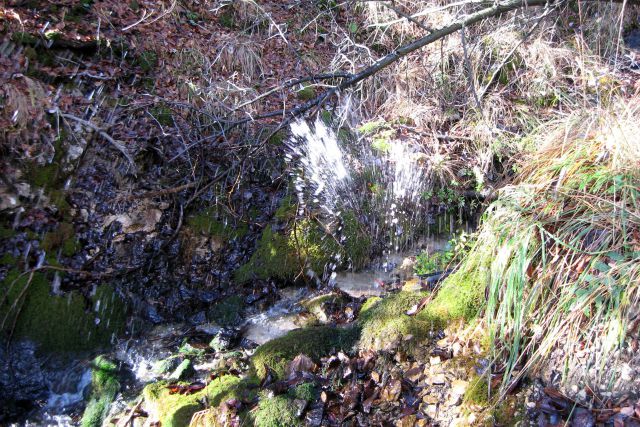 Tošč iz Ločnice  25.11.2013 - foto