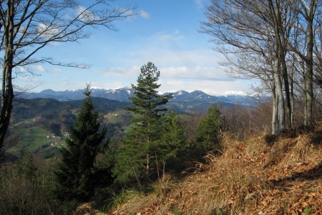 Tošč iz Ločnice  25.11.2013 - foto