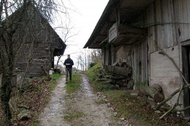 Tošč iz Ločnice  25.11.2013 - foto