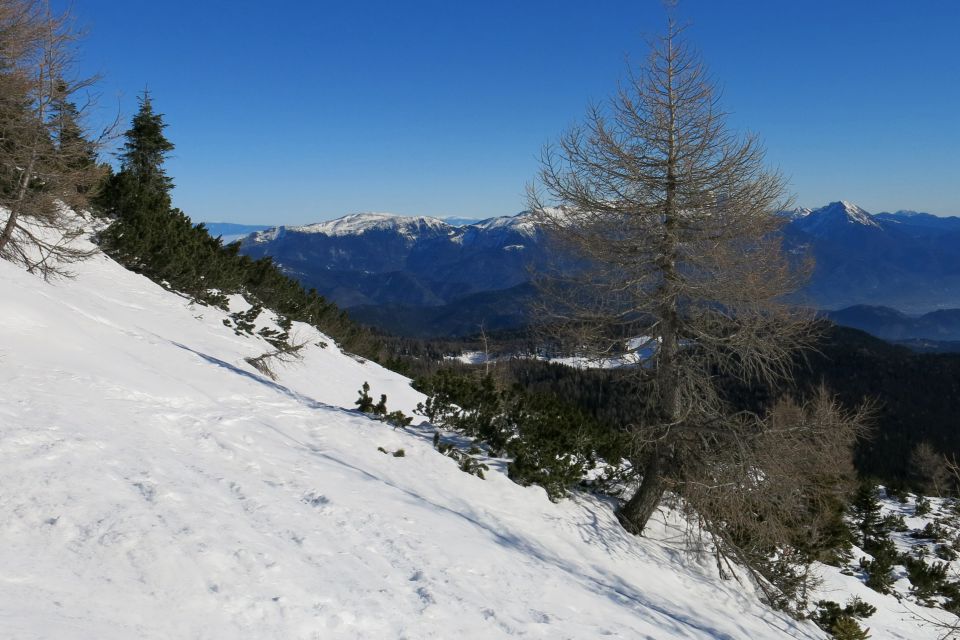 Debela peč + kremšnita 12.12.13 - foto povečava