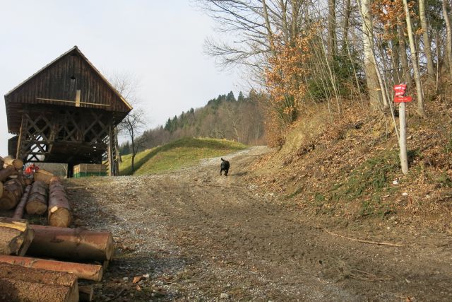 Ta črn pa že z lubnika