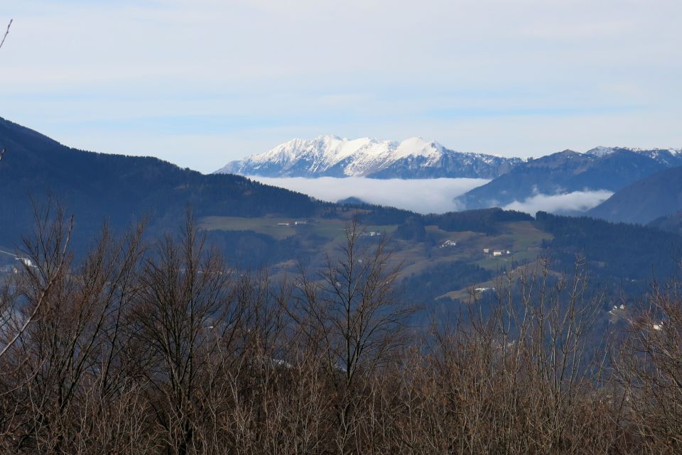 bohinjske