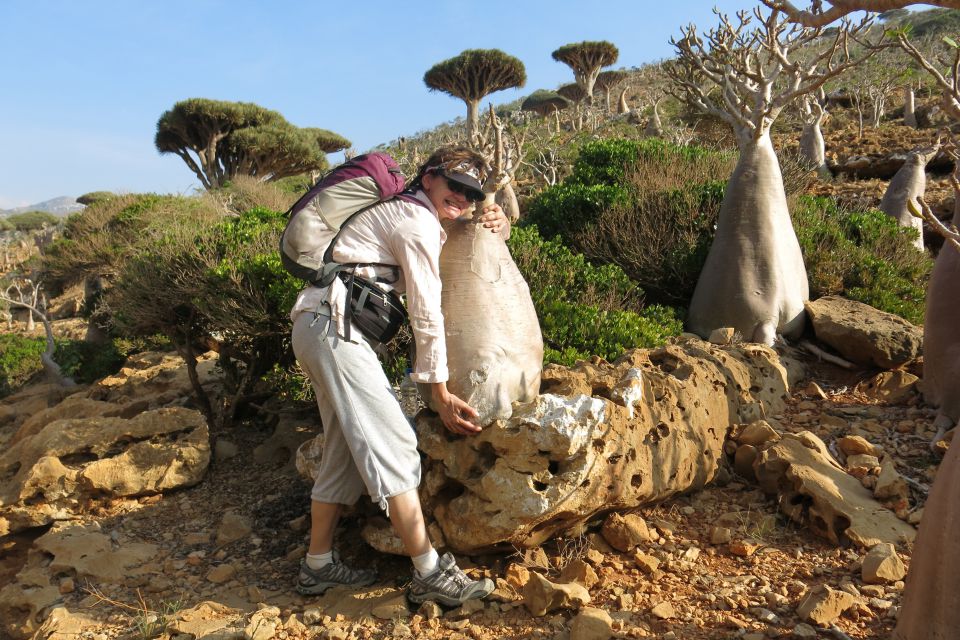 SOCOTRA, feb. 2014 - foto povečava