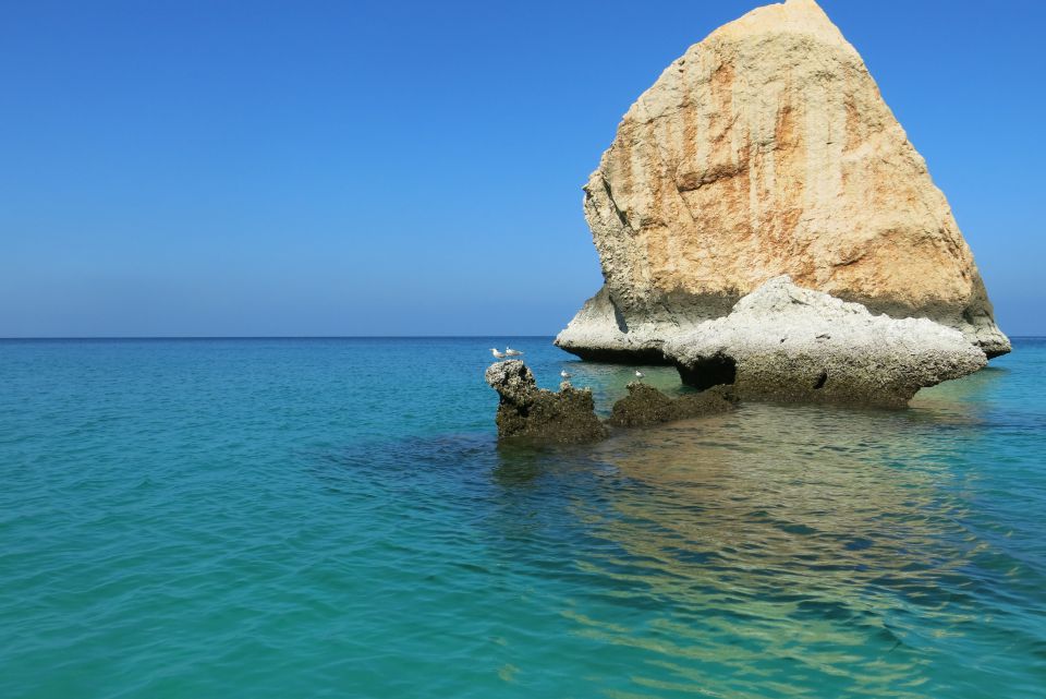 SOCOTRA, feb. 2014 - foto povečava