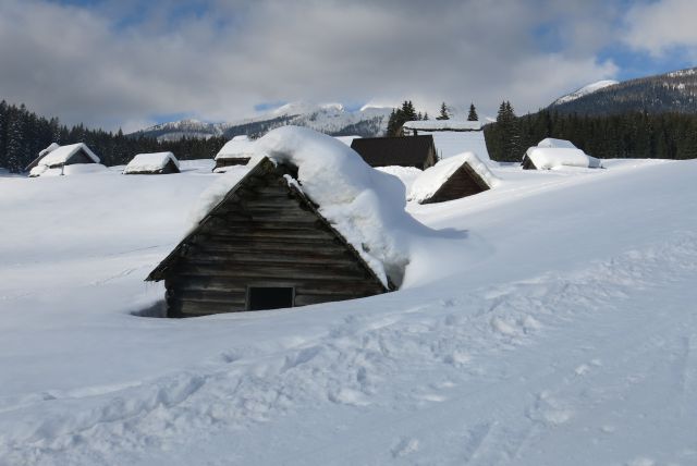 Blejska k. + Brda, 25.02.2014 - foto