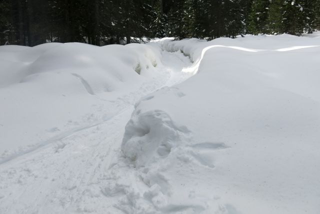 Blejska k. + Brda, 25.02.2014 - foto