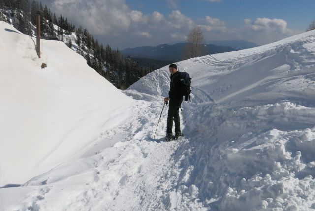 Blejska k. + Brda, 25.02.2014 - foto