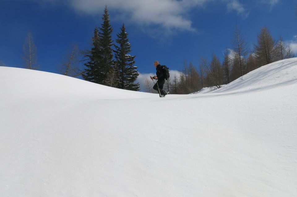 Blejska k. + Brda, 25.02.2014 - foto povečava