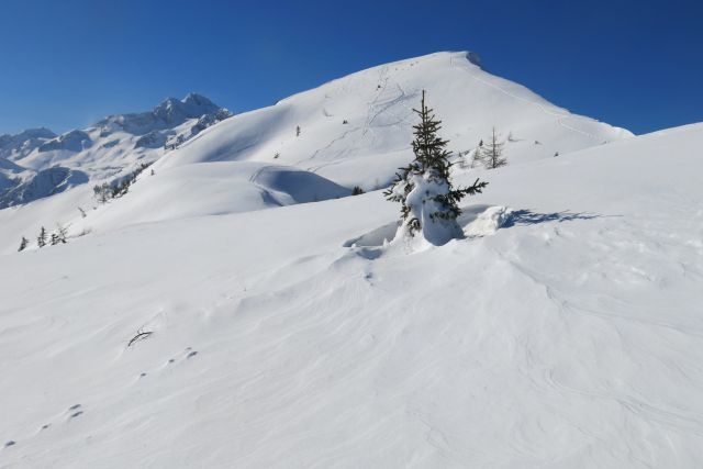 Blejska k. + Brda, 25.02.2014 - foto