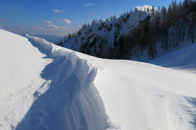 Blejska k. + Brda, 25.02.2014 - foto