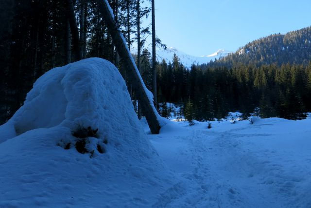 Blejska k. + Brda, 25.02.2014 - foto