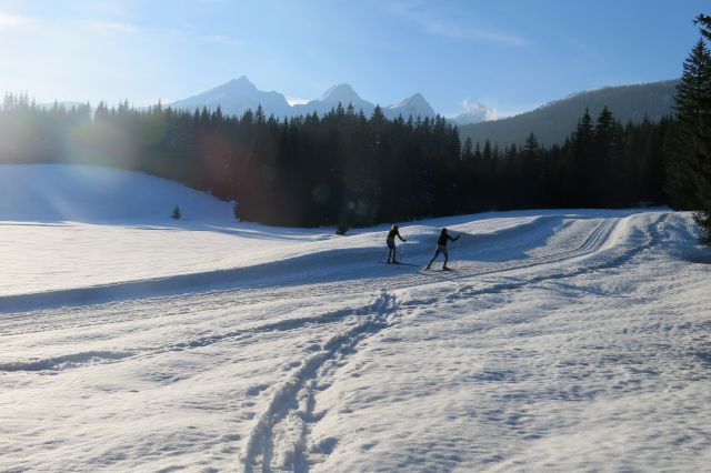 Blejska k. + Brda, 25.02.2014 - foto